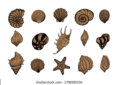 Seashells and starfishes vector set. Marine background. Hand drawn illustrations of engraved line. Perfect for greetings, invitations, manufacture wrapping paper, textile, web design.