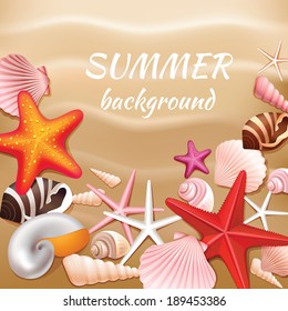 Seashells and stars on the beige sand summer background vector illustration