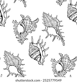 Conchas marinas. Elegante patrón sin fisuras dibujado a mano sobre un tema marino. Vector ilustración en blanco y negro. Perfecto para el Fondo de pantalla, envoltura, estampado, tela y textil. 