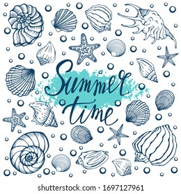 Seashells, summer, holidays, set of seashells and starfish, vector. Hand drawn sea shells and starfishes. Beautiful inscription in modern calligraphy.