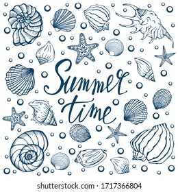 Seashells, summer, holidays, set of seashells and starfish, vector. Hand drawn sea shells and starfishes. Beautiful inscription in modern calligraphy.