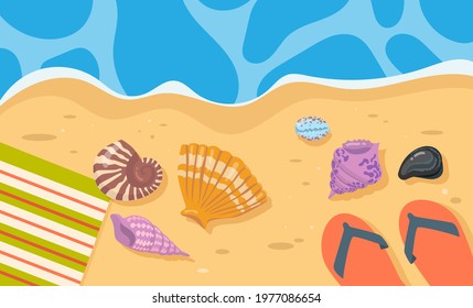 Seashells, towel ad flip-flops on sand cartoon illustration. Sandals, blanket, colorful shells lying near blue water. Holiday, vacation, summer, traveling concept