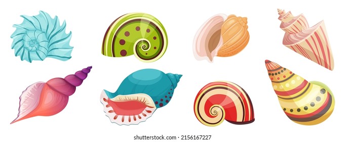 Seashells from tropical beach or underwater set vector illustration. Cartoon colorful aquatic shells with spiral conch, collection of mollusks isolated white. Crustacean, nature, summer concept