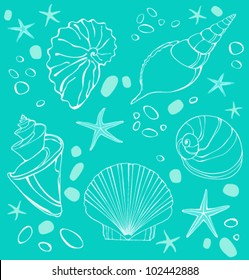 Seashells turquoise background