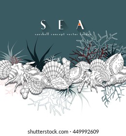 Seashells Vector Border Turquoise Concept Border. Seashells Isolated Line Art Illustration With Different Corals, Algae, Sea Life And Background.