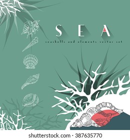 Seashells vector concept  set with coral on turquoise background