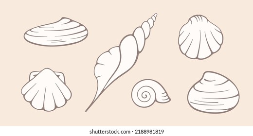 Seashells vector flat illustration. Collection of hand drawn vector elements on pastel background. Best for textile, wallpapers, home decoration, wrapping paper, package and web design.