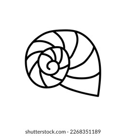 Seashells vector Hand drawn illustrations. mollusk sea shells line icon