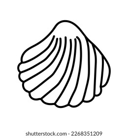 Seashells vector Hand drawn illustrations. mollusk sea shells line icon