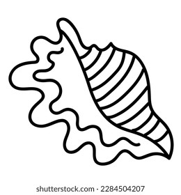 Seashells vector Hand drawn illustrations. mollusk sea shells line icon