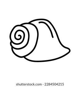 Seashells vector Hand drawn illustrations. mollusk sea shells line icon