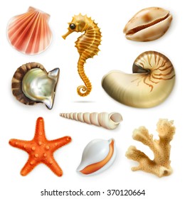 Seashells, vector icon set