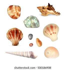 Seashells. Vector icon set. EPS10