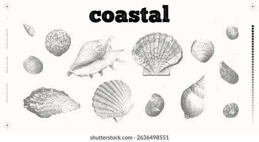 Seashells vector illustration collection. Trendy stippling photocopy effect