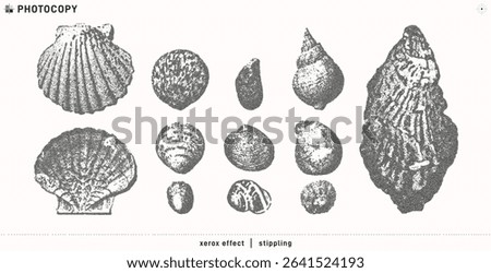 Seashells vector illustration collection. Trendy photocopy effect
