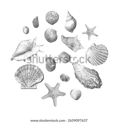 Seashells vector illustration collection. Trendy stippling photocopy effect