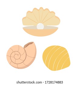 Seashells. Vector illustration on a white background. Flat drawing style.