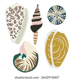 Seashells vector illustration set. Hand drawn sea shells collection