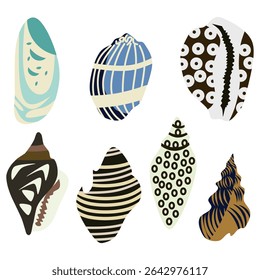 Seashells vector illustration set. Hand drawn sea shells collection
