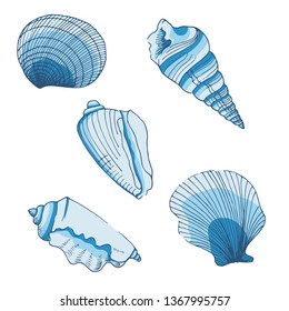 Seashells Vector Isolated Element Set