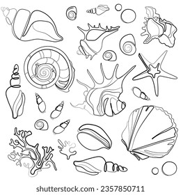 Seashells vector outline drawing set. Various mollusk sea shells different forms, echinus, sea urchin, starfish, seaweed.Hand drawn illustration on white background.Collection of abstract sketches