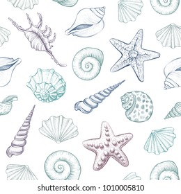 Seashells vector seamless pattern. Hand drawn marine illustrations of engraved line. Colorful background.