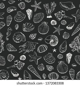 Seashells vector seamless pattern. Hand drawn illustrations of engraved line. 
