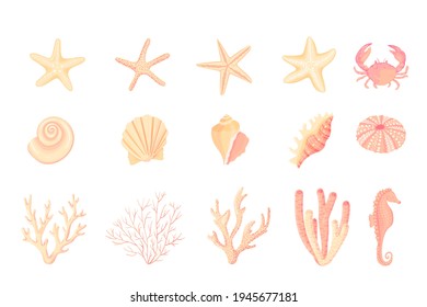 Seashells vector set. Collection of flat, cartoon sketches of molluscs sea shells, starfish, sea urchin, seahorse, hippocampus, crab, coral. Trendy coral reef under water collection isolated on white