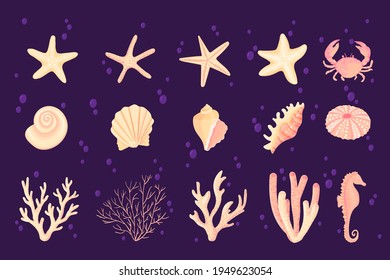 Seashells vector set. Collection of flat, cartoon sketches of molluscs sea shells, starfish, sea urchin, seahorse, hippocampus, crab, coral. Trendy coral reef under water collection isolated on white