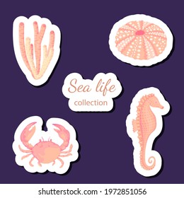 Seashells vector set. Collection of flat, cartoon sketches of molluscs sea shells, starfish, sea urchin, seahorse, hippocampus, crab, coral. Trendy coral reef under water collection isolated on white