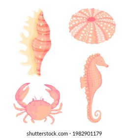 Seashells vector set. Collection of flat, cartoon sketches of molluscs sea shells, starfish, sea urchin, seahorse, hippocampus, crab, coral. Trendy coral reef under water collection isolated on white