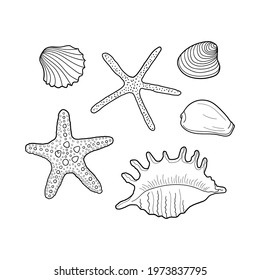 Seashells vector set. Collection of shells different forms. Hand-drawn illustrations of engraved line. Marine set. Design element for invitations, greeting cards, posters, banners, flyers and more.