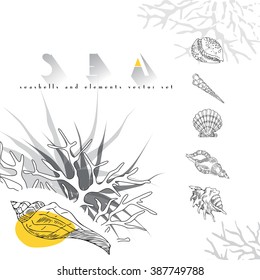 Seashells vector set with coral on white background