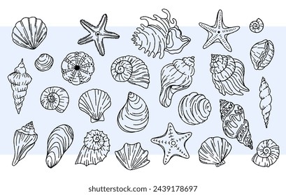 Seashells vector set. Linear black and white illustrations. Doodle. Vector graphics for textile print, paper