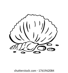 Seashells vector summer set. Black outline sea shells isolated on white background. Hand drawn shells image style doodle. Stylized marine inhabitants. Stock Illustration for summer decoration, clothes