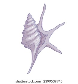 Seashell.Summer marine decor. Vector graphics.