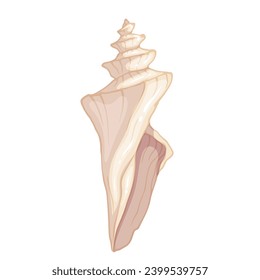 Seashell.Summer marine decor. Vector graphics.
