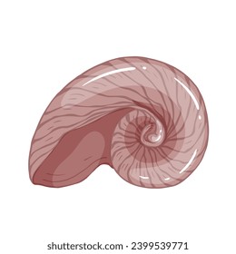 Seashell.Summer marine decor. Vector graphics.