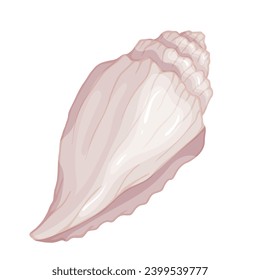 Seashell.Summer marine decor. Vector graphics.
