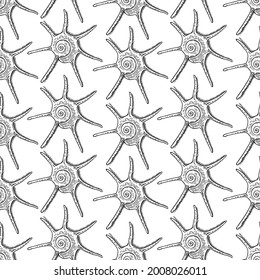 Seashll star. Black and white square card. Hand-drawn collection of greeting cards. Vector illustration.