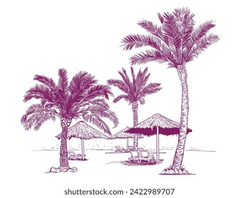 Seashore, palm trees, beach umbrellas and sun loungers outdoors. Hand drawn vector illustration of exotic holidays.