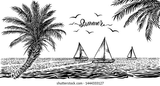 Seaside tropical view with sailboats and palms. Vector illustration of panoramic beach, palm branch and yachts on the water. Silhouette black and white sketchy drawing.