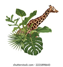 Season Abstract Nature Banner Background. Jungle plants, cartoon giraffe animal. Exotic card element with tropical leaves.	
