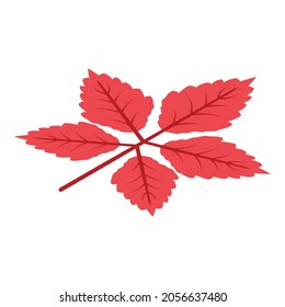 Season autumn leaf icon. Isometric of season autumn leaf vector icon for web design isolated on white background