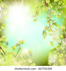 Season branches with fresh green leaves. EPS 10 vector file included