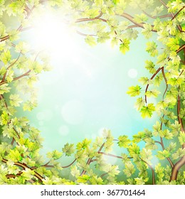 Season branches with fresh green leaves. EPS 10 vector file included