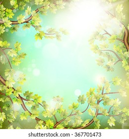 Season branches with fresh green leaves. EPS 10 vector file included