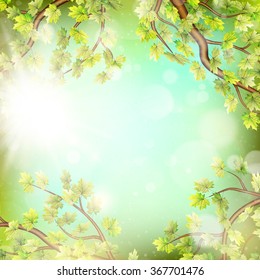 Season branches with fresh green leaves. EPS 10 vector file included