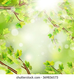 Season branches with fresh green leaves. EPS 10 vector file included