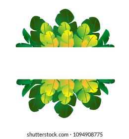 season change of banana leaves desight background and copy space vector.